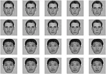 Four faces, two caucasian (first two rows) and two Asian (last two rows) as well as their edited counterparts. The middle face of each row is the original face upon which the manipulations were made. The leftmost face has eyes or mouth 20% smaller than the original (the middle face), the face located second from the left has eyes or mouth 10% smaller than the original, the rightmost face has eyes or mouth 20% larger than the original, and the face located second from the right has eyes or mouth 10% larger than the original.