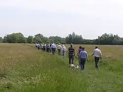 Ditchford Lakes and Meadows