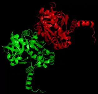 Crystal structure of UTP—glucose-1-phosphate uridylyltransferase from Burkholderia xenovorans