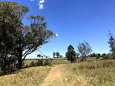 Shale Hills with offroad driving path