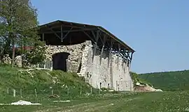 Ruin of the Saint-Vivant Abbey at Vergy