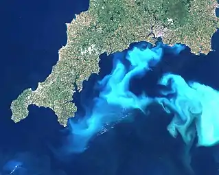 An example of an algal bloom just south of Cornwall, England.