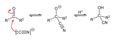 Mechanism of the cyanohydrin reaction