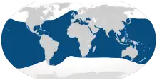 Common bottlenose dolphin range