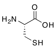 (R)-Cysteine, an amino acid containing a thiol group