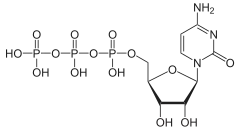 Skeletal formula of cytidine triphosphate as an anion (3- charge)
