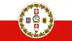 Czechoslovak Legion in Italy Flag