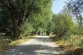 Döllük Village - Entry Road