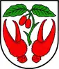 Coat of arms of Dřínov