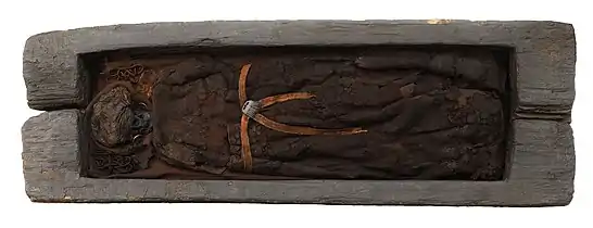 Skrydstrup woman, mummified remains in oak coffin, Denmark.