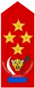 Général d'armée(Land Forces of the DR Congo)