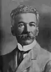 Portrait of Domício da Gama, c. 1910–1915