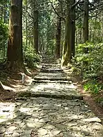 Daimonzaka(Kumano Kodō)