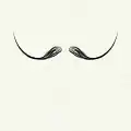 "Dalí" moustache style