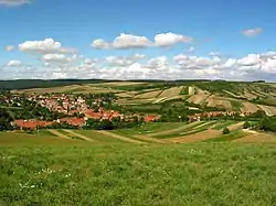 General view of Dambořice