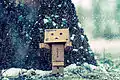 Danbo in the snow