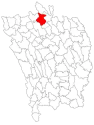 Location in Vaslui County