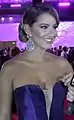 Daniela Álvarez, Miss Colombia 2011