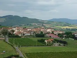 A general view of Dareizé