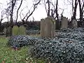 Jewish Cemetery.