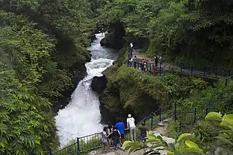 Davis Falls and the visitors