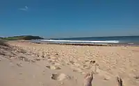 Dee Why Beach