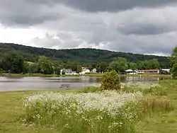 Deer Lake Pond in June 2015