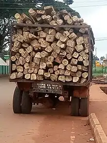 Deforestation of trees in Nsukka