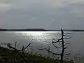 Shining blue lake with trees in foreground