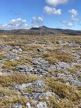 View across Denniston Plateau to Mount Rochfort