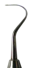 Curved tip of a small metal probe, tapering to a point.