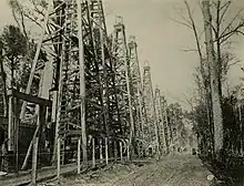 Oil derricks at Sour Lake, c. 1910