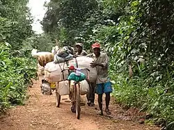 Two Toleki merchants on the road from Epulu to Mambasa