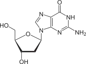 Chemical structure of deoxyguanosine