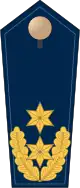 Blue epaulette with 2 golden stars and oak leaves