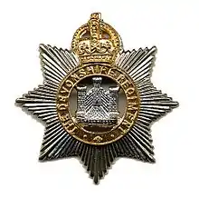 The badge of the Devonshire Regiment