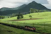 4479 and a 45 class haul a southbound train past Mt Lion, on the Brisbane-Casino line, 1987