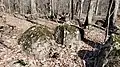 Jurassic diabase boulders in the Culpeper Basin northeast of Dulles Airport