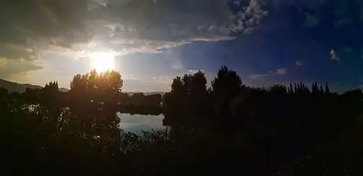 Silhouette of trees in Dianchi