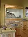 A section of the Digging Dinos exhibit at the Morris Museum.
