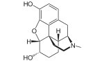 Chemical structure of Dihydromorphine 2D structure.