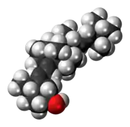 Space-filling model of the dihydrotachysterol molecule