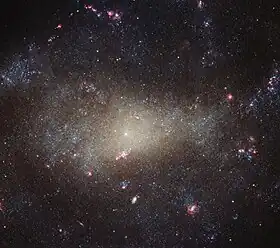 NGC 4242 is a dim galaxy in Canes Venatici.