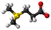 Ball-and-stick model of the dimethylsulfoniopropionate zwitterion