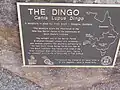 Dingo statue plaque, Jandowae, Queensland.