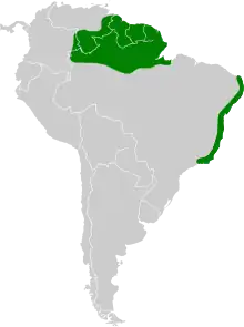 Map of South America with northern Brazil, French Guiana, Guyana, Suriname, southern Venezuela, and the eastern tip of Brazil highlighted in green