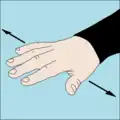 Level off at this depth: Flat hand with palm down and fingers spread moved slowly side to side horizontally a few times.