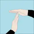 Time up: time to turn the dive and start heading back: Flat hand held roughly horizontal with tips of other flat hand's fingers touching the palm at right angles. Can also signify half of starting air remaining (in response to the "Pressure" signal).