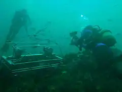 Divers inspecting a stereo baited remote underwater video (BRUV) frame at Rheeder's Reef in the Tsitsikamma Marine Protected Area