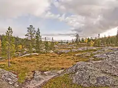 Øvre Dividal national park